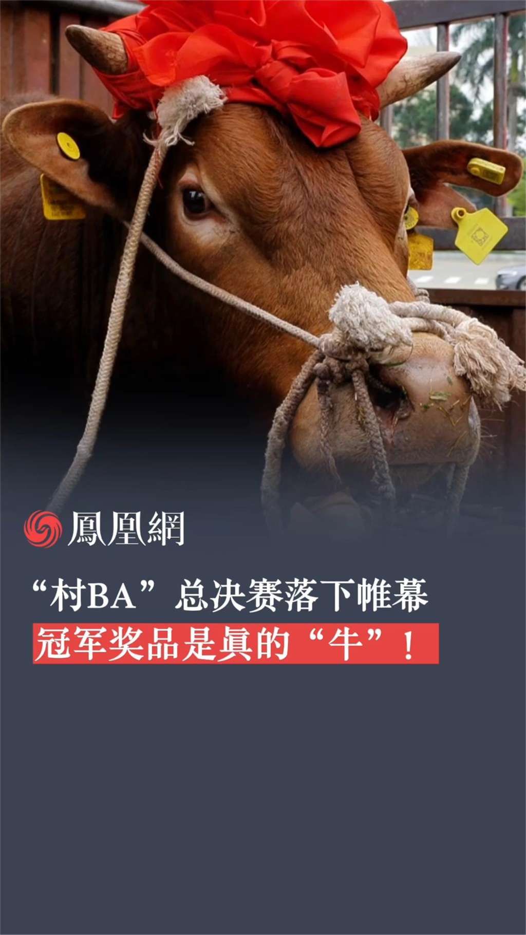 赛事奖品丰富:吸引更多运动员参与 赛事奖品丰富:吸引更多运动员参与