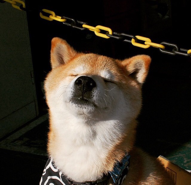 _全景水上摩天轮滑：极限运动新体验_，摩天轮水上公园