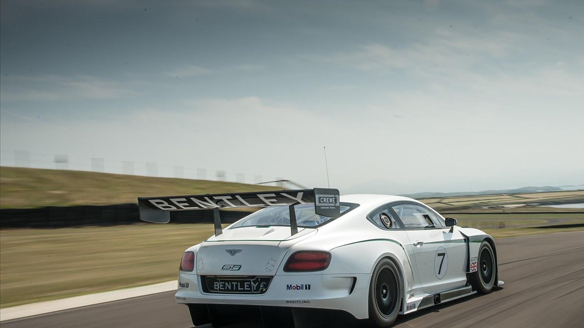 “罕见奇观:场上场下令人难以置信的趣味”,场上什么意思