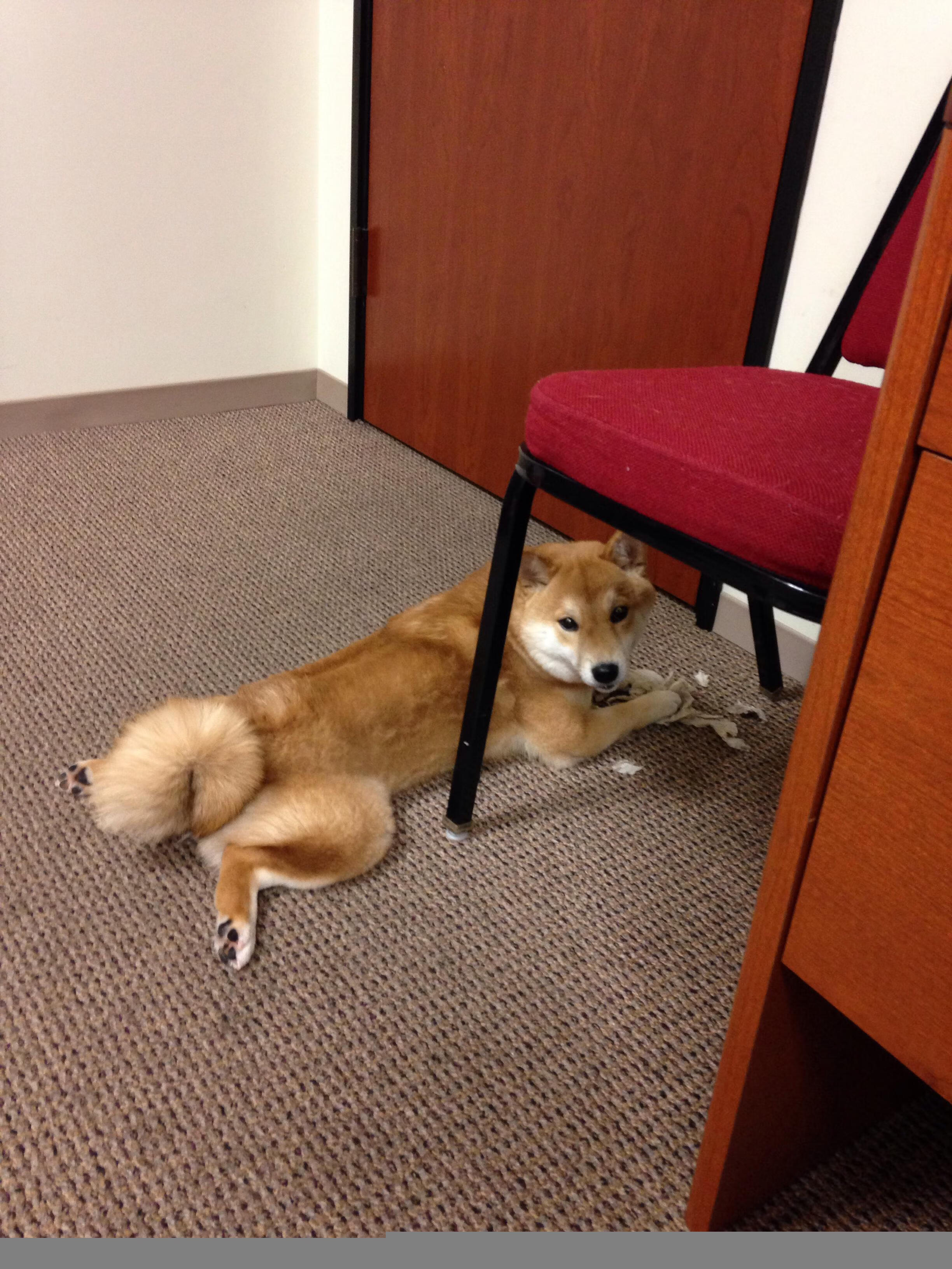 “青训基地引进国际先进训练设备,提升青少年技术水平”,青训训练营是什么