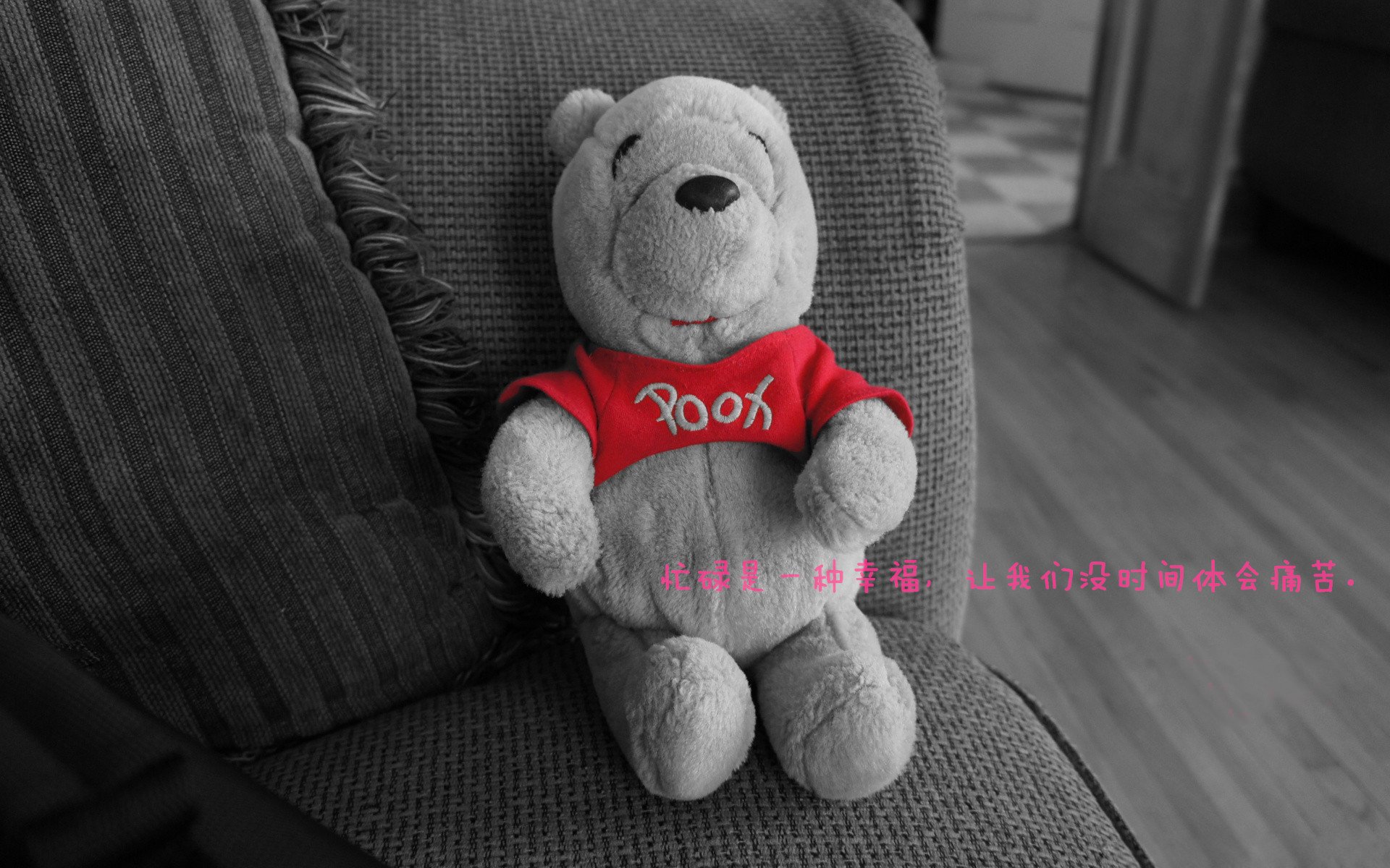 球场“坚不可摧”的防线:冠军的秘密堡垒