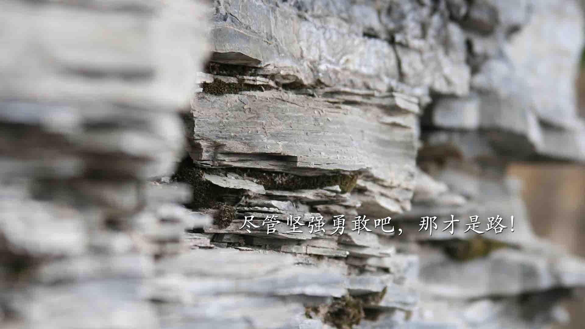 球场“坚若磐石”:最难攻破的后防线揭秘