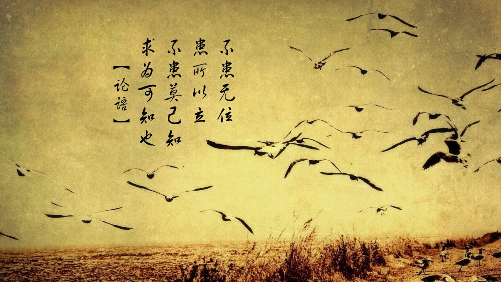 九游app官网下载-EDG战队新赛季宣传片发布，edg战队新赛季宣传片发布了吗