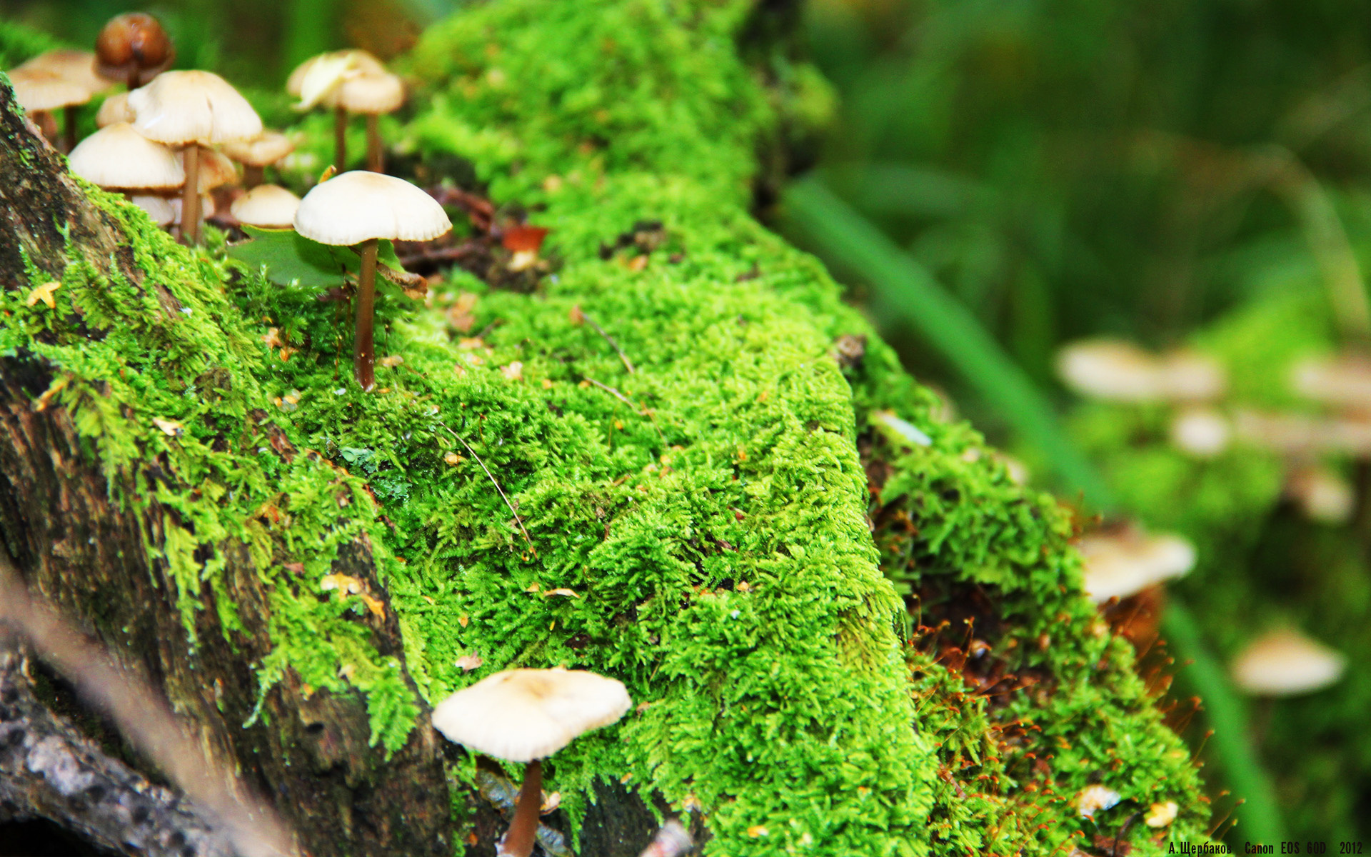 九游电脑版-乌拉圭男足在巴黎奥运会比赛中表现出色，赢得奖牌，乌拉圭著名足球运动员