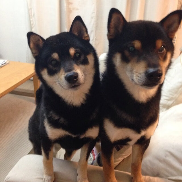 凯撒酋长青训球员升入一线队,展现潜力,凯撒king