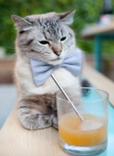 灰熊新星发光主场击退雷霆，灰熊巨星