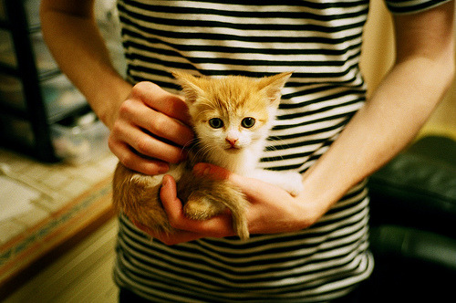 美因茨主场击败对手,保持主场不败纪录,美因茨队