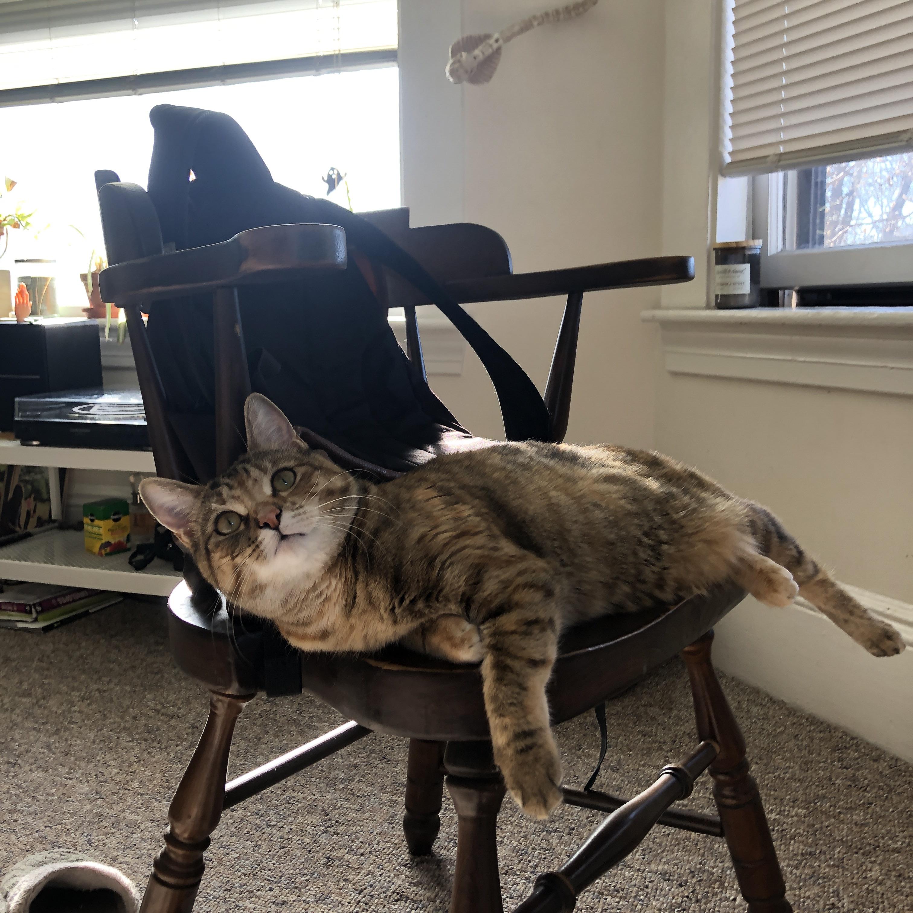 九游sports-体育明星社交平台带动赛事宣传热度，打造体育明星