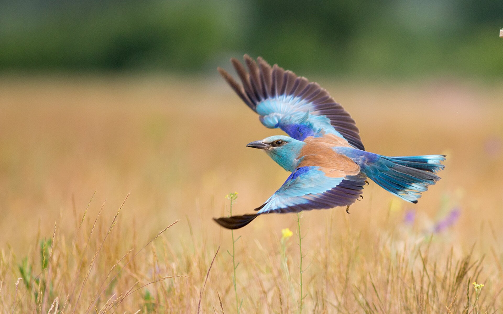 换帅常规赛后球队横纵数据是否立时恢复或出偏移趋势