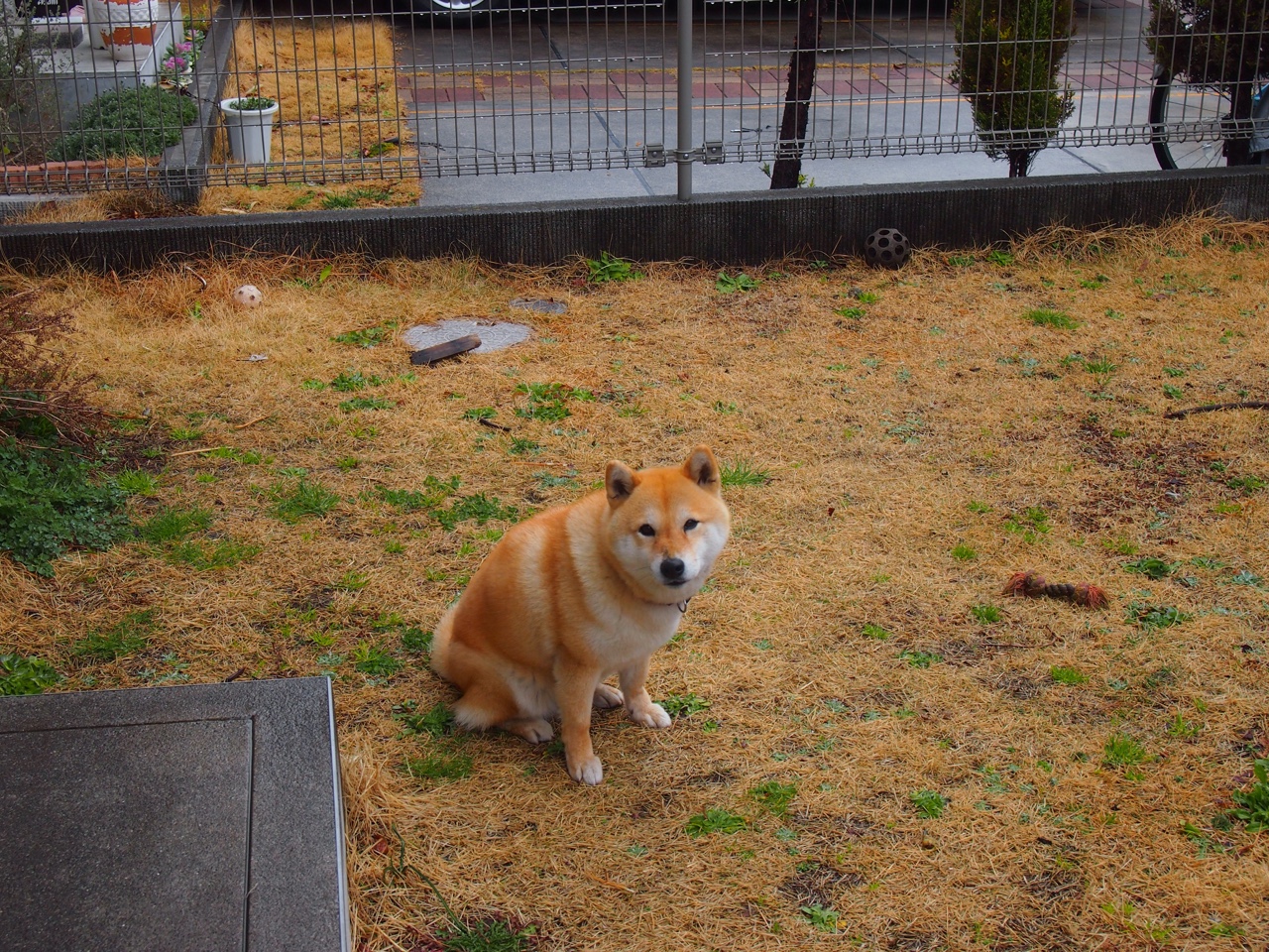 九游网游官网-赛事数据解读选手竞技状态，选手锦标赛