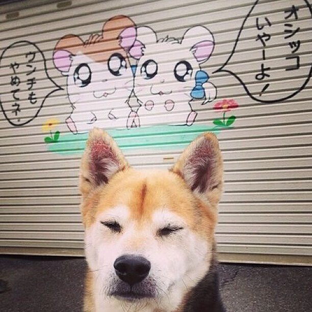 库里与老对手赛后热情拥抱引回忆杀,库里和谁一队