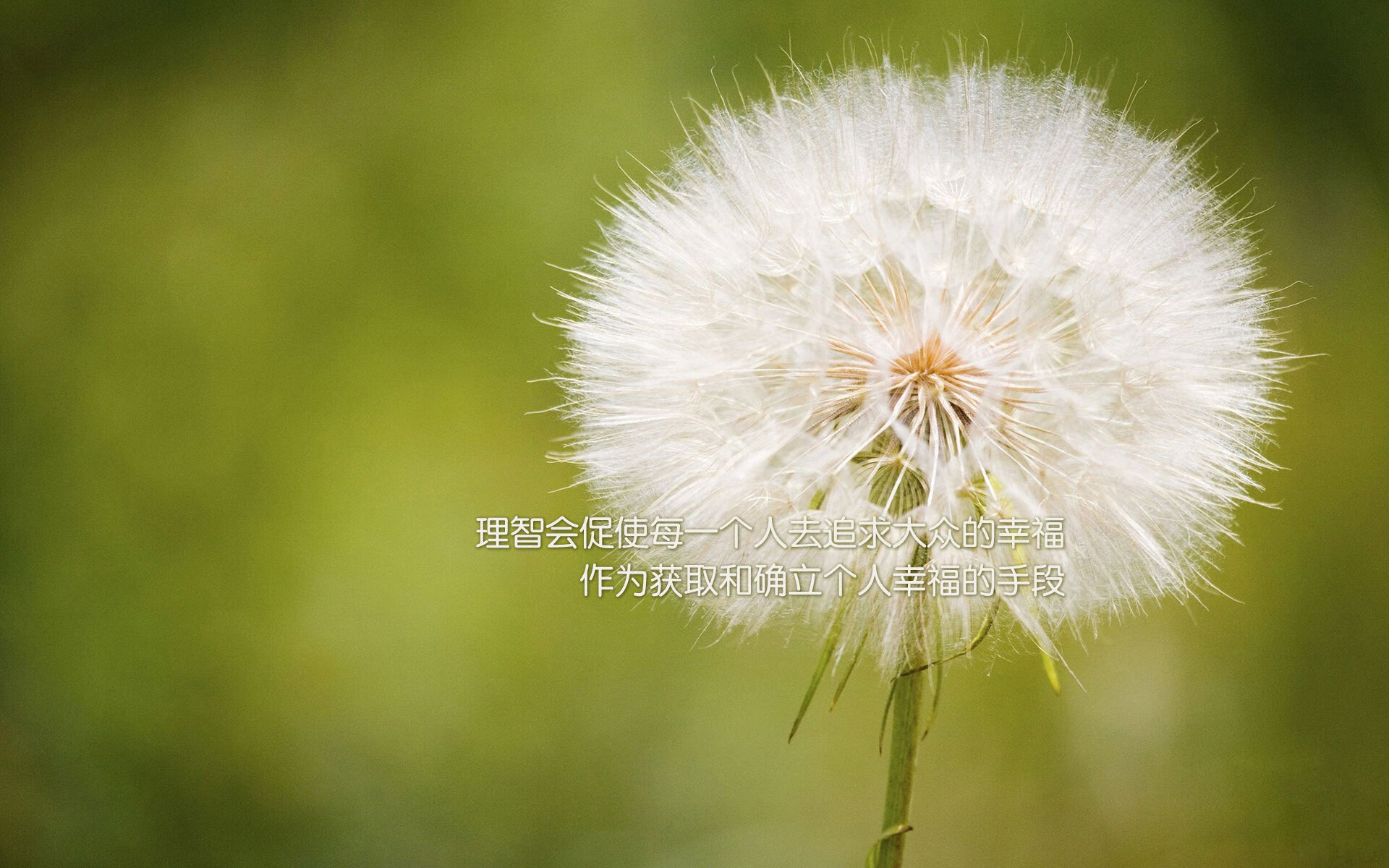 欧洲女子篮球超级联赛，波兰和捷克队势如破竹，争夺金牌，fiba欧洲女子篮球