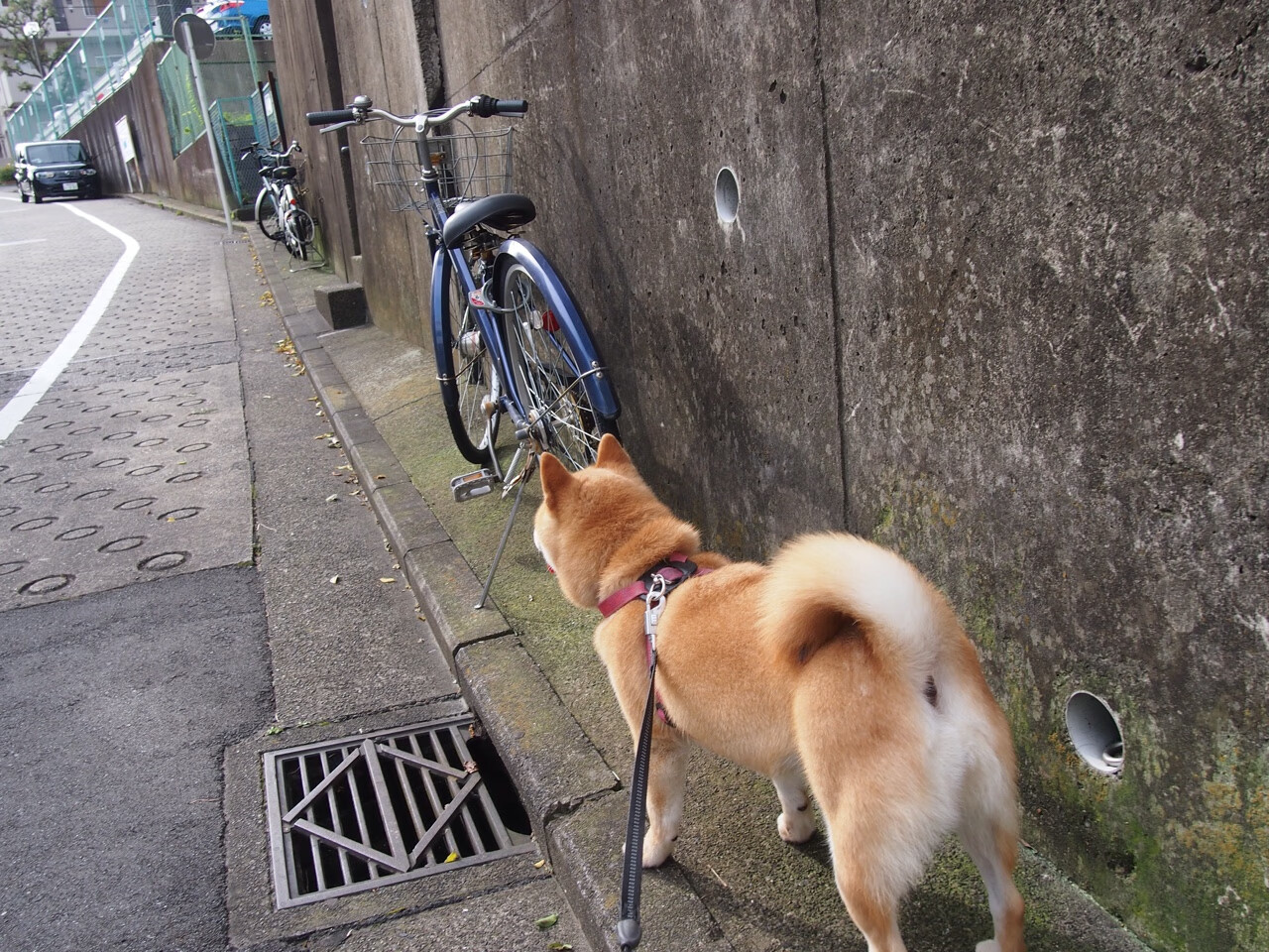 老鹰替补席贡献大幅提升成为关键支撑，老鹰队的比赛